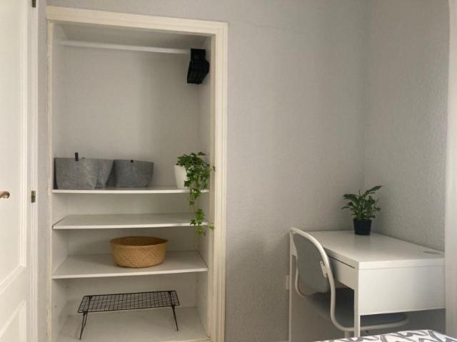 Alquiler 1 Dormitorio Shared Living/Roommate Alicante Alicante DS77937096
