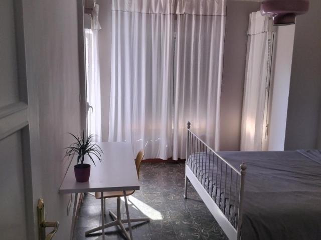 Alquiler 1 Dormitorio Shared Living/Roommate Alicante Alicante DS77937194