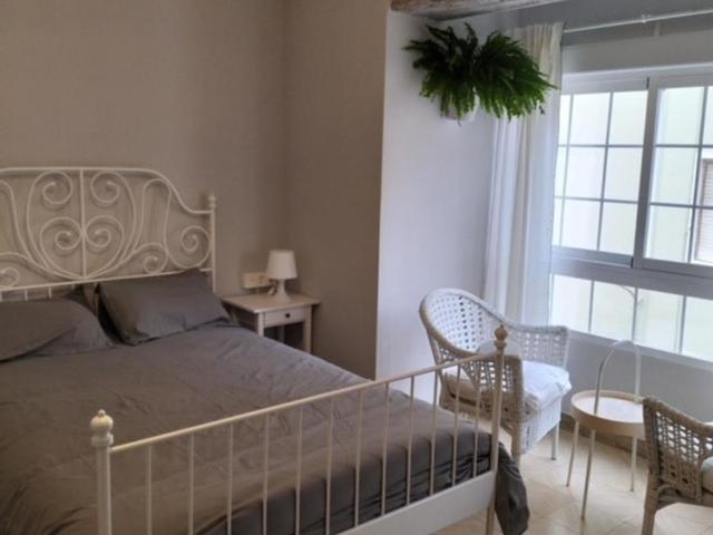 Alquiler 1 Dormitorio Shared Living/Roommate Alicante Alicante DS77937212