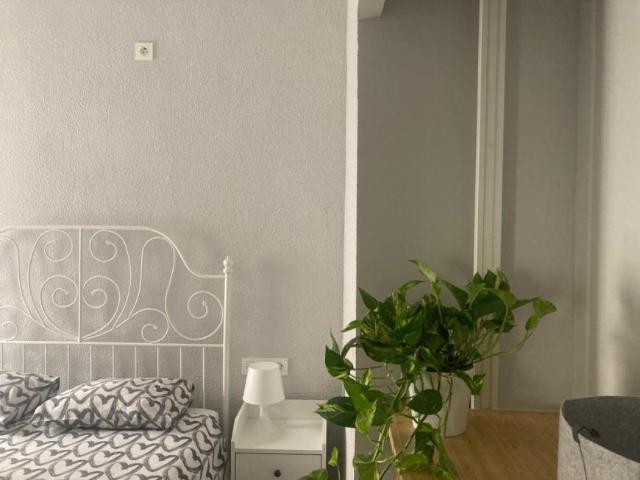 Alquiler 1 Dormitorio Shared Living/Roommate Alicante Alicante DS77941510