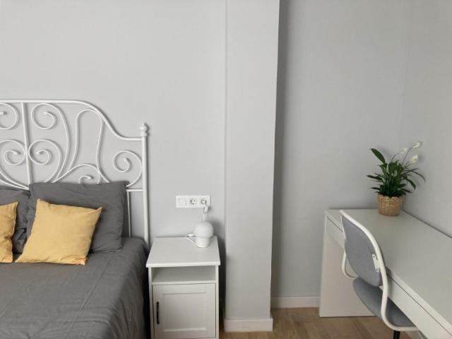 Alquiler 1 Dormitorio Shared Living/Roommate Alicante Alicante DS77941588