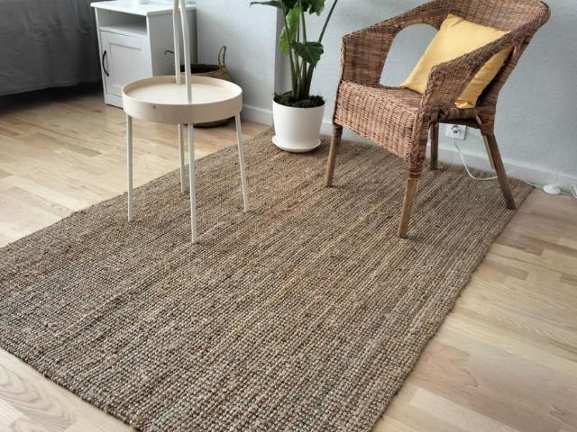 Alquiler 1 Dormitorio Shared Living/Roommate Alicante Alicante DS77941597