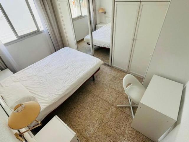 Alquiler 1 Dormitorio Shared Living/Roommate Alicante Alicante DS93119467