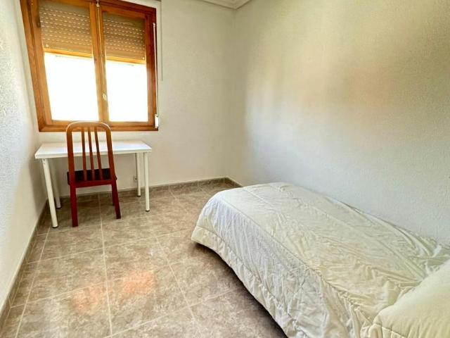Alquiler 1 Dormitorio Shared Living/Roommate Alicante Alicante DS95418517