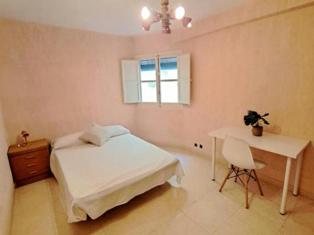 Alquiler 1 Dormitorio Shared Living/Roommate Alicante Alicante DS95482758