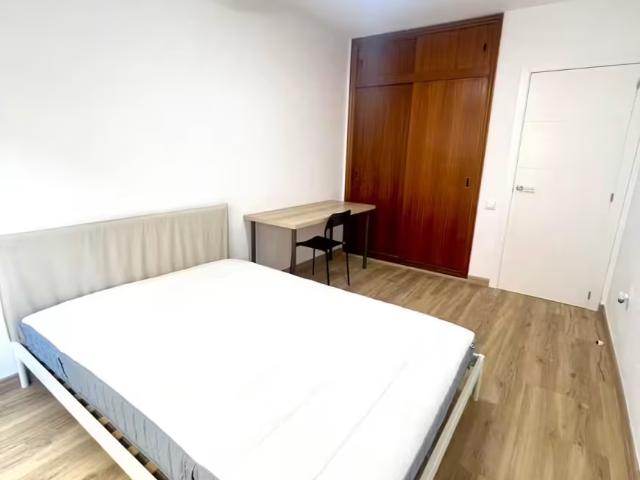 Alquiler 1 Dormitorio Shared Living/Roommate Alicante Alicante DS95904461