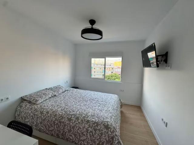 Alquiler 1 Dormitorio Shared Living/Roommate Alicante Alicante DS95904118