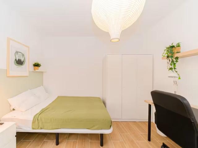 Alquiler 1 Dormitorio Shared Living/Roommate Alicante Alicante DS95915551