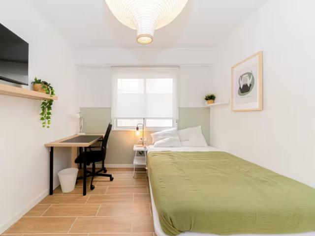 Alquiler 1 Dormitorio Shared Living/Roommate Alicante Alicante DS95915553