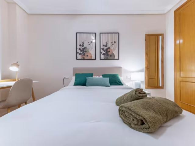 Alquiler 1 Dormitorio Shared Living/Roommate Alicante Alicante DS95915702