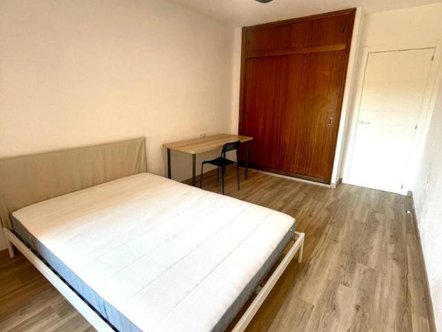 Alquiler 1 Dormitorio Shared Living/Roommate Alicante Alicante DS95022316