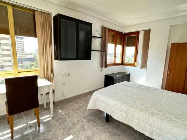 Alquiler 1 Dormitorio Shared Living/Roommate Alicante Alicante DS97438370