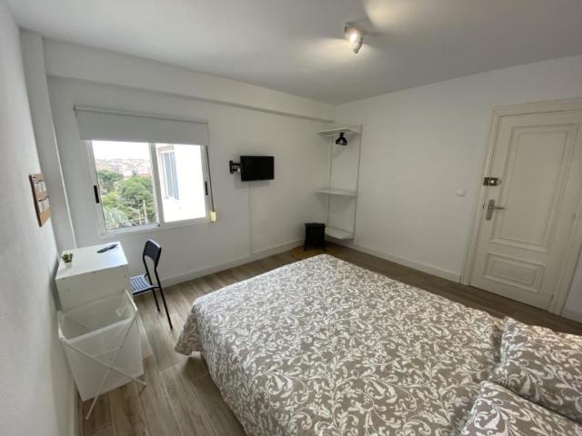 Alquiler 1 Dormitorio Shared Living/Roommate Alicante Alicante DS97054286