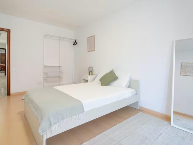 Alquiler 1 Dormitorio Shared Living/Roommate Alicante Alicante DS98143336