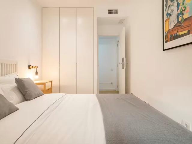 Alquiler 1 Dormitorio Shared Living/Roommate Alicante Alicante DS98293476