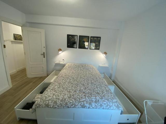 Alquiler 1 Dormitorio Shared Living/Roommate Alicante Alicante DS99635689