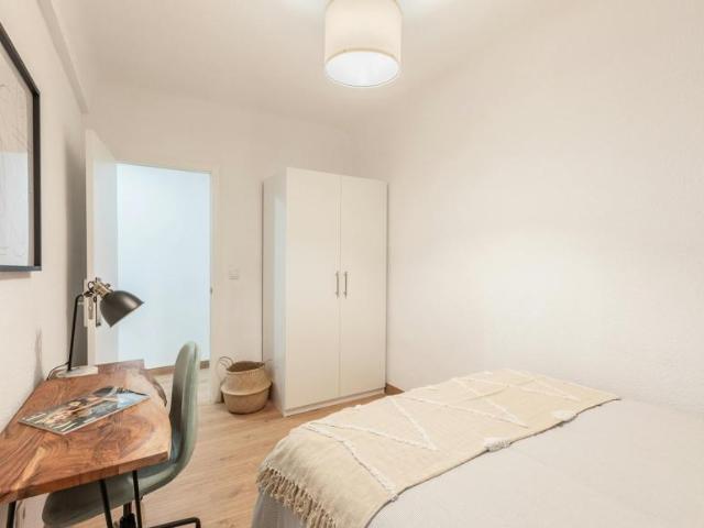 Alquiler 1 Dormitorio Shared Living/Roommate Alicante Alicante DS99726197