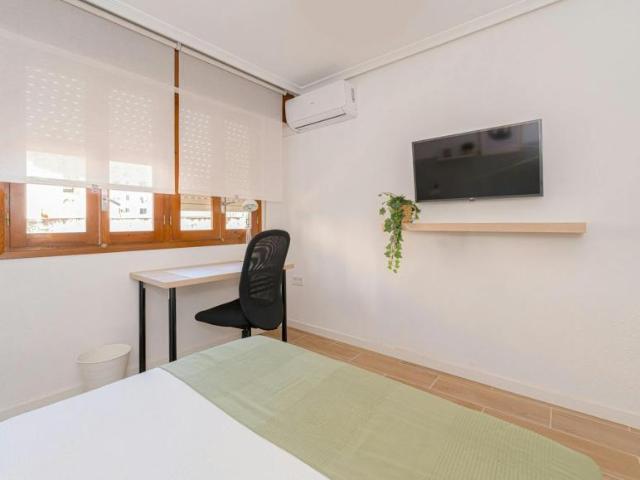 Alquiler 1 Dormitorio Shared Living/Roommate Alicante Alicante DS99767125