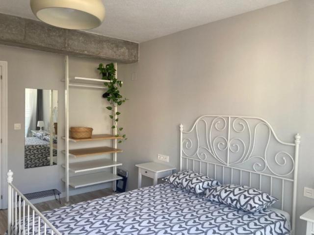 Alquiler 1 Dormitorio Shared Living/Roommate Alicante Alicante DS99382993