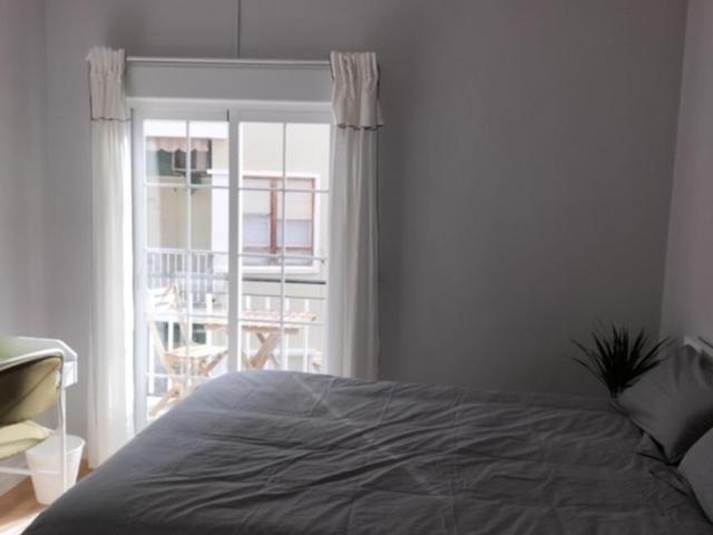 Alquiler 1 Dormitorio Shared Living/Roommate Alicante Alicante DS99382295