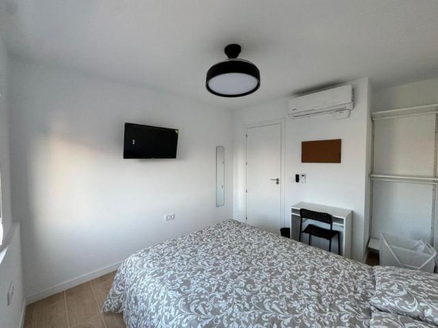 Alquiler 1 Dormitorio Shared Living/Roommate Alicante Alicante DS99385919
