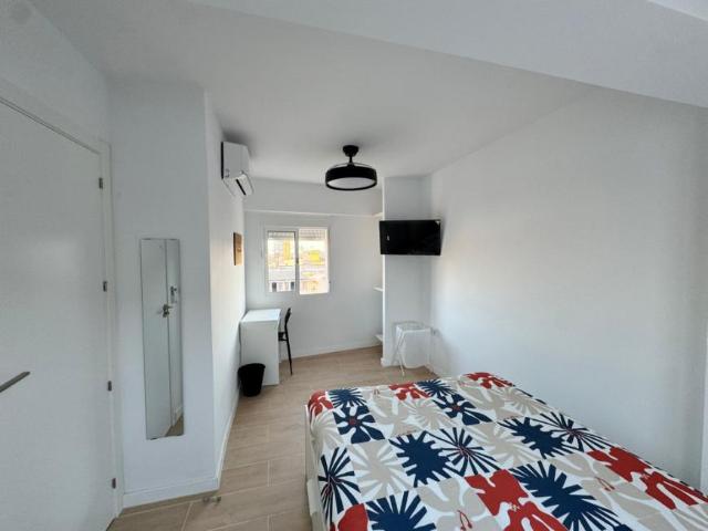 Alquiler 1 Dormitorio Shared Living/Roommate Alicante Alicante DS99386950