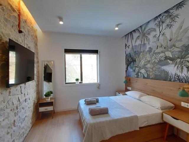 Alquiler 1 Dormitorio Shared Living/Roommate Alicante Alicante DS99387141