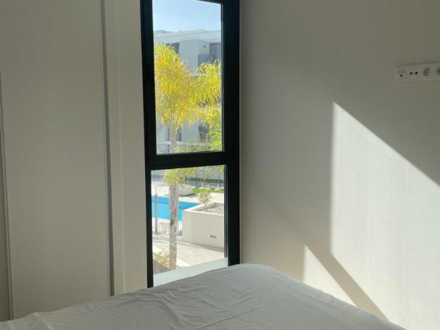 Alquiler 1 Dormitorio Shared Living/Roommate Alicante Alicante DS99388199