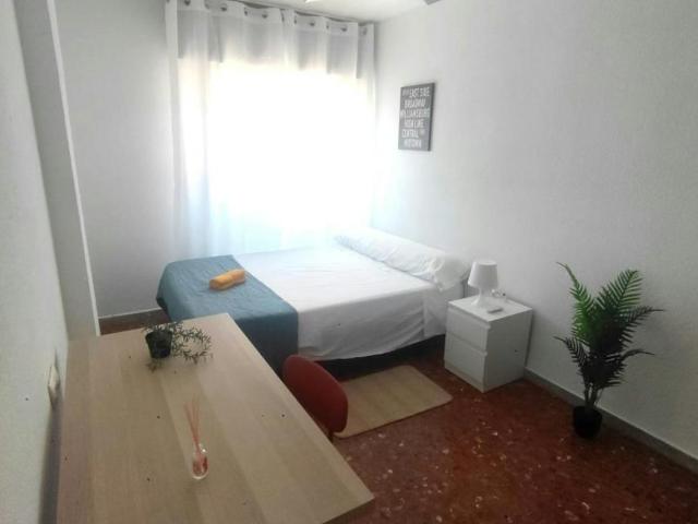 Alquiler 1 Dormitorio Shared Living/Roommate Almería Almería DS100765174