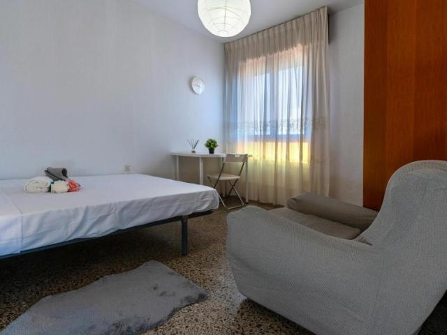 Alquiler 1 Dormitorio Shared Living/Roommate Almería Almería DS99726213