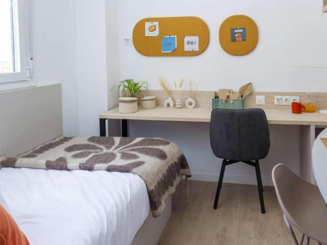 Alquiler 1 Dormitorio Shared Living/Roommate Armilla Armilla DS93085049
