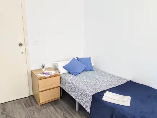 Alquiler 1 Dormitorio Shared Living/Roommate Burjassot Burjassot DS95949528