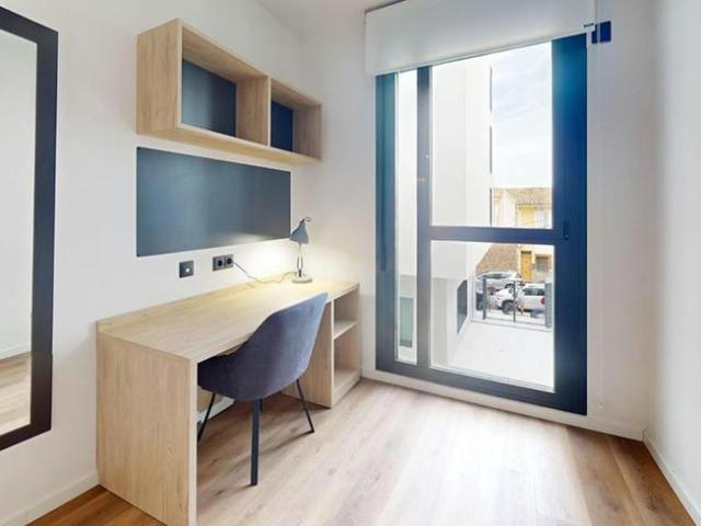 Alquiler 1 Dormitorio Shared Living/Roommate Burjassot Burjassot DS101848271