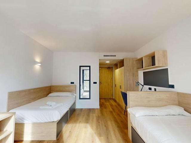Alquiler 1 Dormitorio Shared Living/Roommate Burjassot Burjassot DS101848274