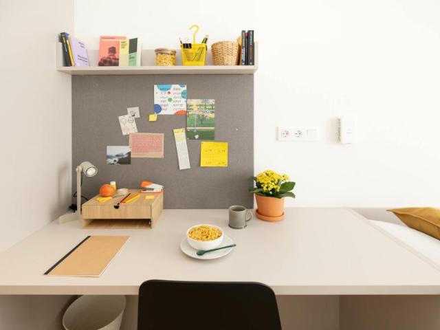 Alquiler 1 Dormitorio Shared Living/Roommate Burjassot Burjassot DS102847919