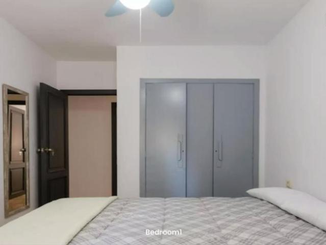 Alquiler 1 Dormitorio Shared Living/Roommate Burjassot Burjassot DS103696064