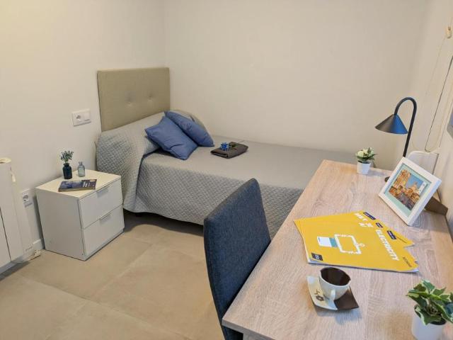 Alquiler 1 Dormitorio Shared Living/Roommate Burjassot Burjassot DS104754421