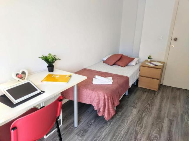 Alquiler 1 Dormitorio Shared Living/Roommate Burjassot Burjassot DS104225476