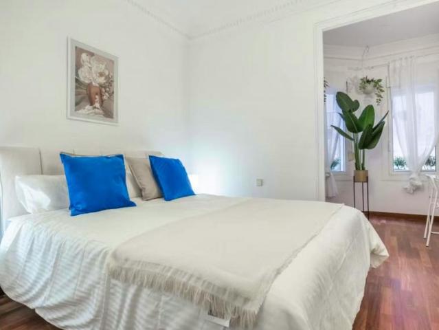 Alquiler 1 Dormitorio Shared Living/Roommate Barcelona Barcelona DLS90149078