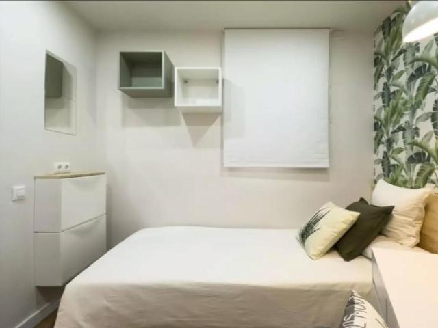 Alquiler 1 Dormitorio Shared Living/Roommate Barcelona Barcelona DLS95847954