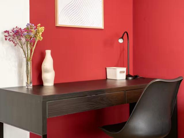 Alquiler 1 Dormitorio Shared Living/Roommate Barcelona Barcelona DLS96655629