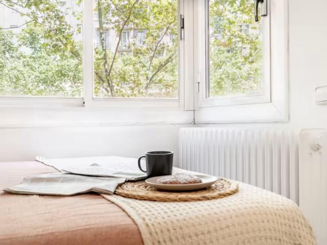 Alquiler 1 Dormitorio Shared Living/Roommate Barcelona Barcelona DLS96147534
