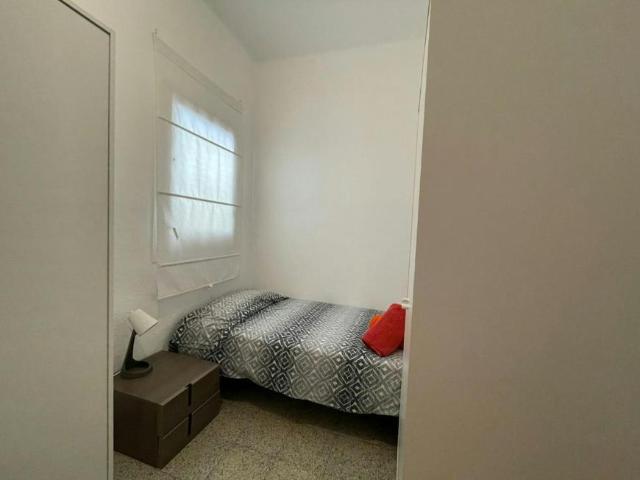 Alquiler 1 Dormitorio Shared Living/Roommate Barcelona Barcelona DLS99511363