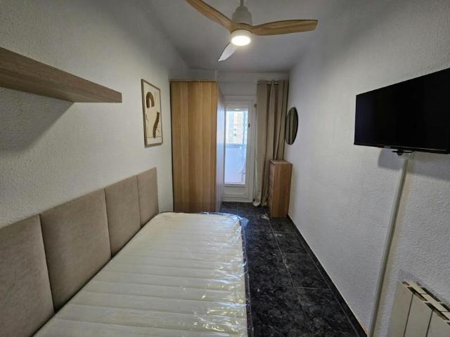 Alquiler 1 Dormitorio Shared Living/Roommate Barcelona Barcelona DLS99562124