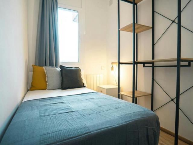 Alquiler 1 Dormitorio Shared Living/Roommate Barcelona Barcelona DLS99636638