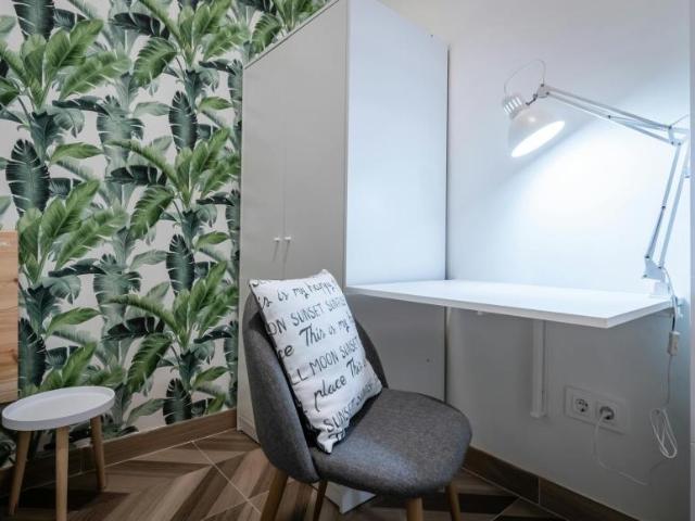 Alquiler 1 Dormitorio Shared Living/Roommate Barcelona Barcelona DLS99636744