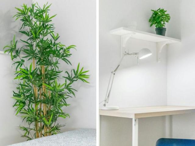 Alquiler 1 Dormitorio Shared Living/Roommate Barcelona Barcelona DLS99690876