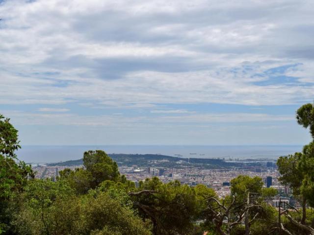 Alquiler 1 Dormitorio Shared Living/Roommate Barcelona Barcelona DLS99766314