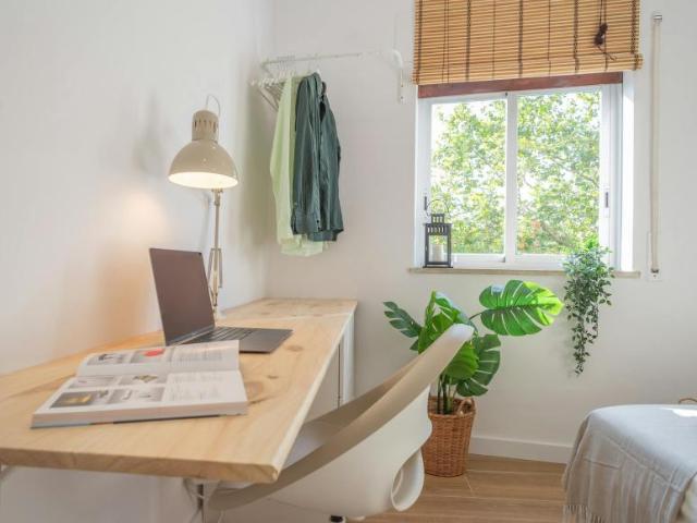 Alquiler 1 Dormitorio Shared Living/Roommate Barcelona Barcelona DS100675166