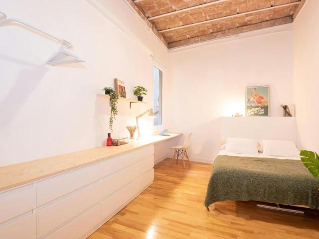 Alquiler 1 Dormitorio Shared Living/Roommate Barcelona Barcelona DS100675252